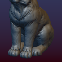 Lynx Kitten - Thumbnail 17