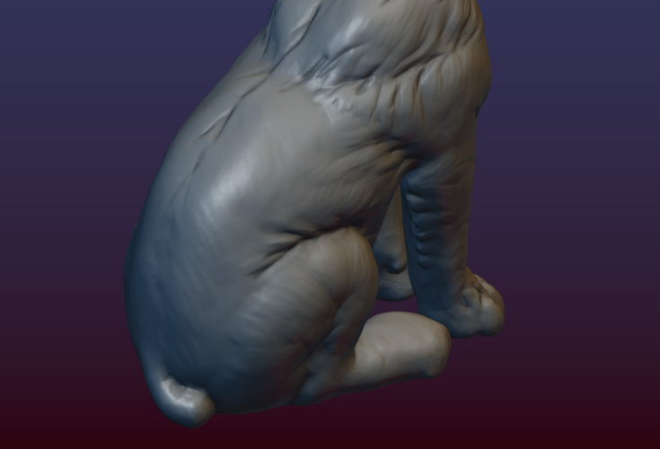 Lynx Kitten 3D Print 206083