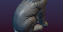 Image 206083