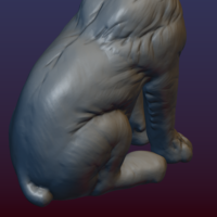 Lynx Kitten - Thumbnail 18