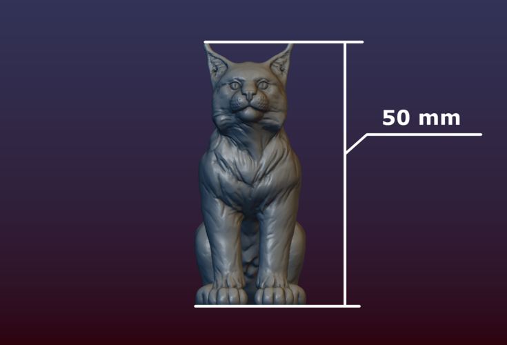Lynx Kitten 3D Print 206084