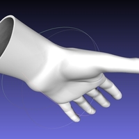 Casual Woman Hand Model F1P1D0V1hand - Thumbnail 4