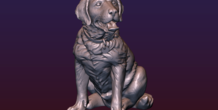 Image 206720