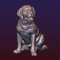 Small Labrador 3D Printing 206720