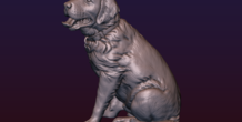 Image 206722