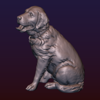 Labrador - Thumbnail 3