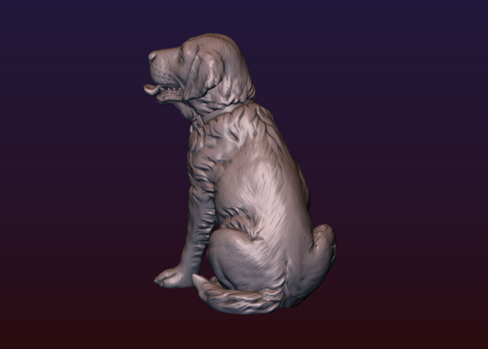 Labrador 3D Print 206723
