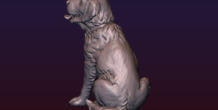 Image 206723