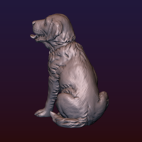 Labrador - Thumbnail 4