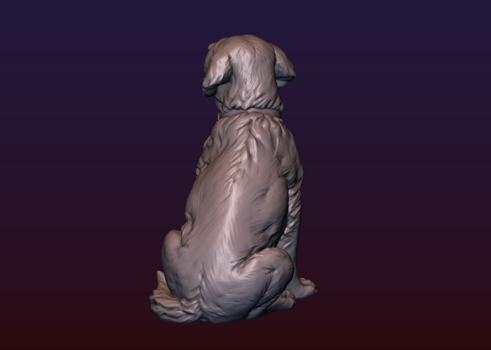 Labrador 3D Print 206724
