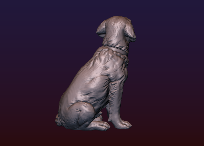 Labrador 3D Print 206725