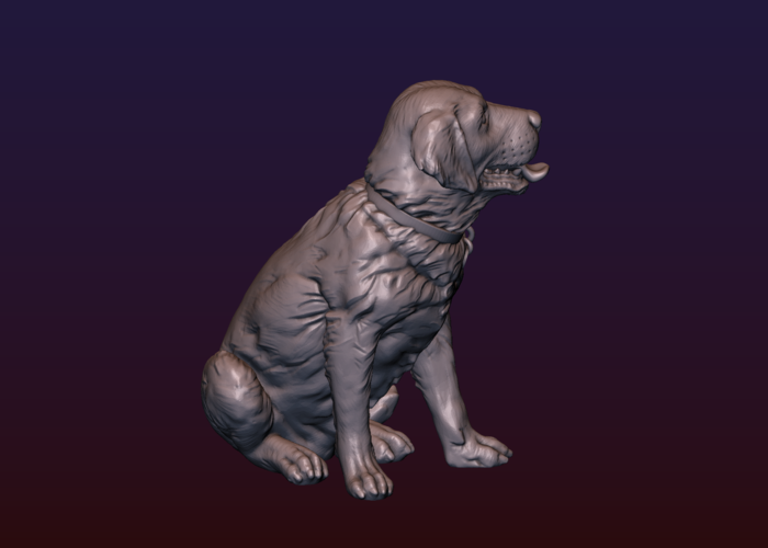 Labrador 3D Print 206726