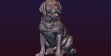 Image 206728