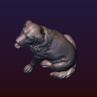Labrador - Thumbnail 10