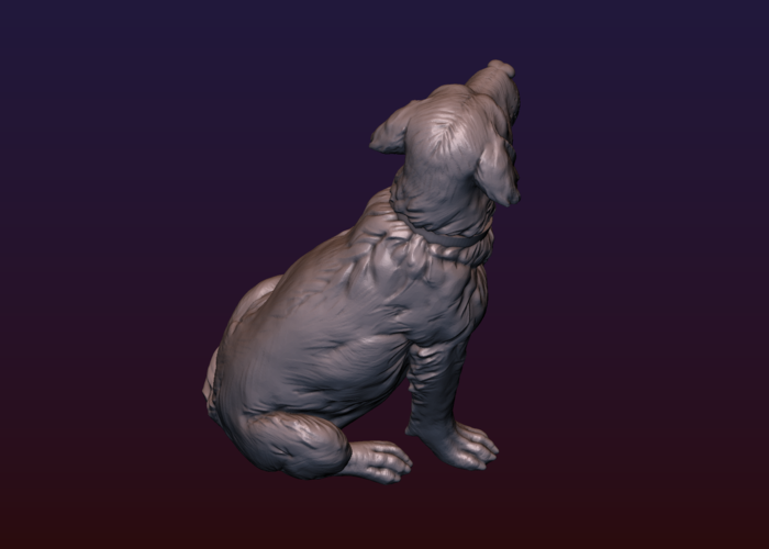 Labrador 3D Print 206730