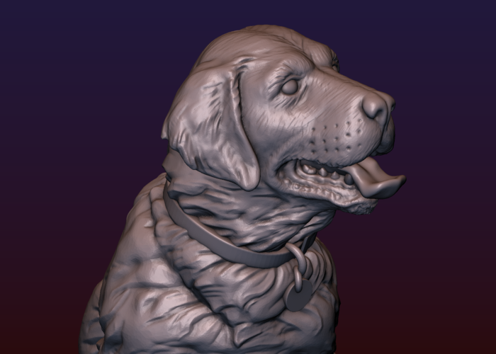 Labrador 3D Print 206731