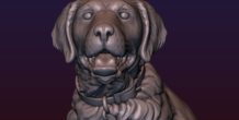 Image 206732