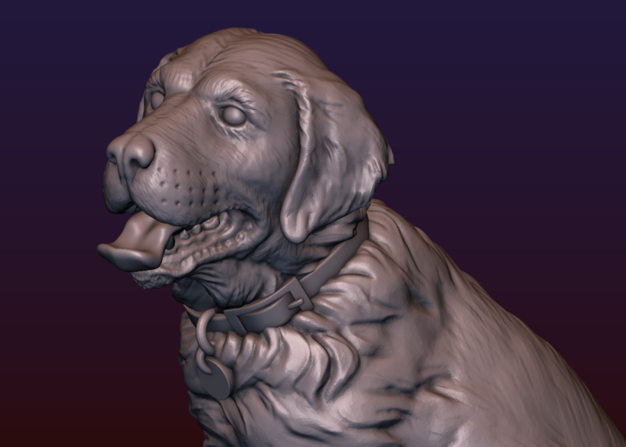 Labrador 3D Print 206733