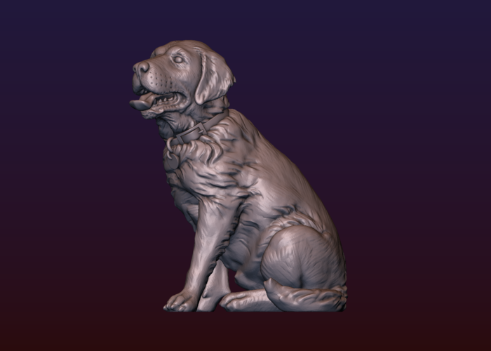 Labrador 3D Print 206736
