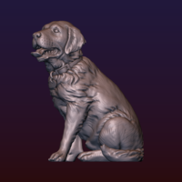 Labrador - Thumbnail 17