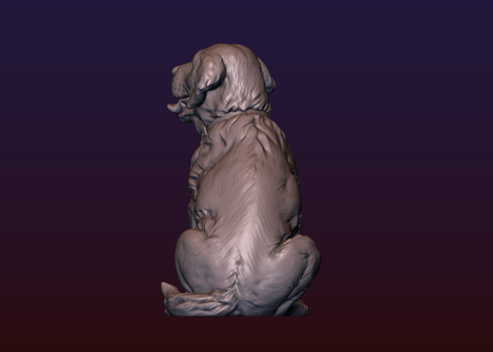 Labrador 3D Print 206737