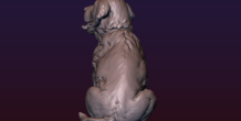 Image 206737