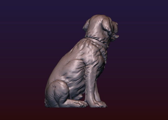 Labrador 3D Print 206738