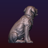 Labrador - Thumbnail 19