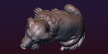 Image 206739