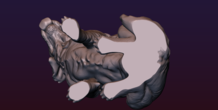 Image 206740