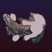 Labrador - Thumbnail 21