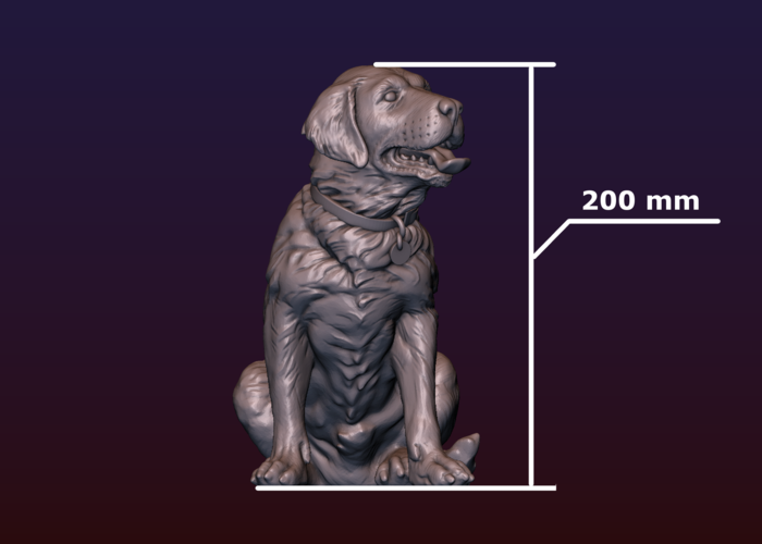 Labrador 3D Print 206741