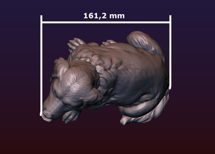 Labrador 3D Print 206742