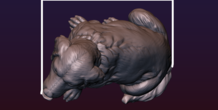 Image 206742