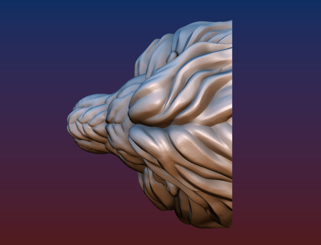 Lion head BEAD 3D Print 206763