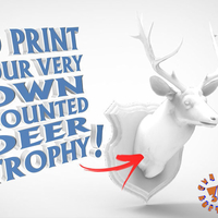 Small Wall Plaque Mounted Deer Head Trophy 3D Printing 206922