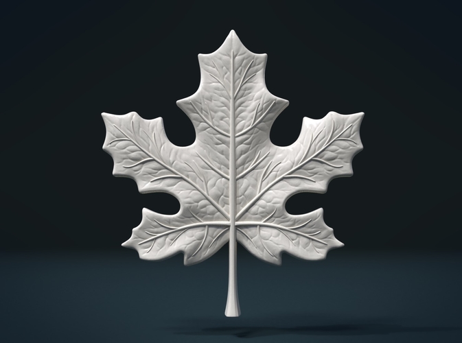 Maple Leaf 3D Print 206968
