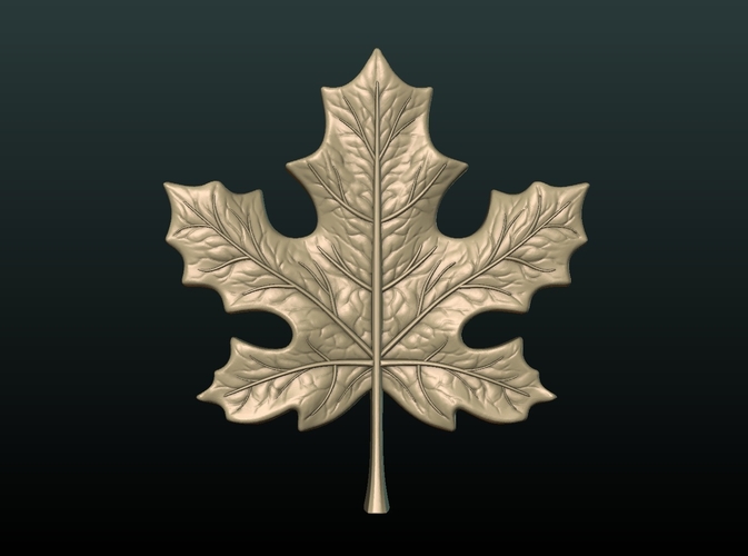 Maple Leaf 3D Print 206970