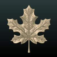 Maple Leaf - Thumbnail 3