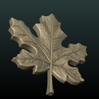 Maple Leaf - Thumbnail 4