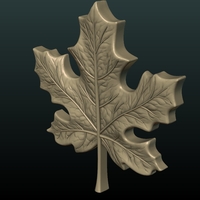Maple Leaf - Thumbnail 5