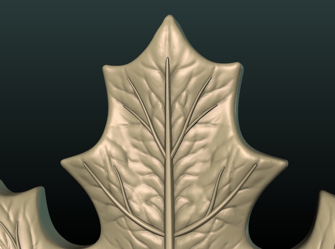 Maple Leaf 3D Print 206975