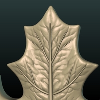 Maple Leaf - Thumbnail 8
