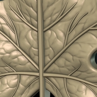 Maple Leaf - Thumbnail 11