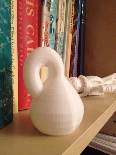 Klein Bottle / Mobius Vase 3D Print 20705