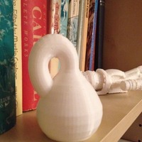 Small Klein Bottle / Mobius Vase 3D Printing 20705