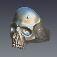 Small "Skull" ring 3D Printing 207248