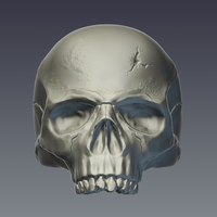 "Skull" ring - Thumbnail 2