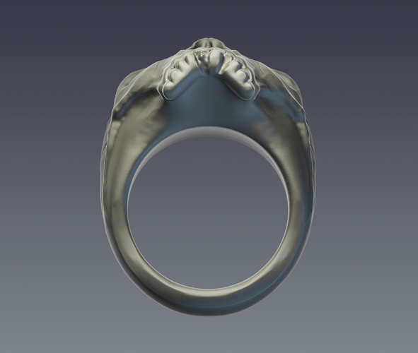 "Skull" ring 3D Print 207250