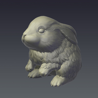 Rabbit - Thumbnail 1
